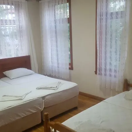 Hotel Incilikonak *